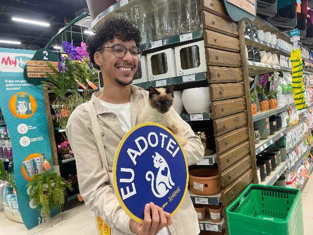 Feira de ado&ccedil;&atilde;o encontra novos lares para gatos resgatados de maus-tratos