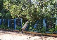 Cada dia mais corroído, Horto Florestal tem grades e bloco caídos na fachada