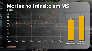Mortes no tr&acirc;nsito se repetem a cada 26 horas em MS