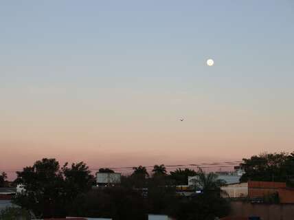 Domingo amanhece gelado e com geada em 52 cidades de MS