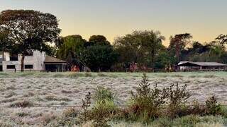 Frio marca a madrugada de domingo em MS, com m&iacute;nima de at&eacute; 1,3&deg;C