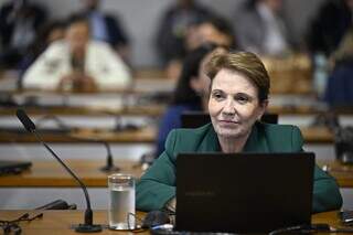 Tereza Cristina defende autonomia de estados e munic&iacute;pios ap&oacute;s vetos de Lula