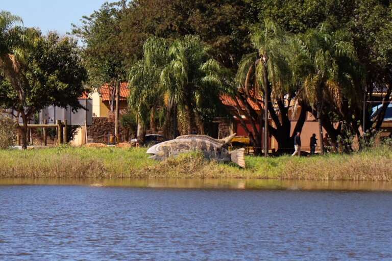 Campo Grande News