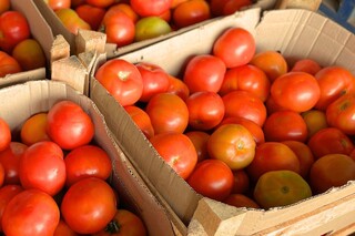 Tomate e couve ficam mais baratos, mas frio eleva pre&ccedil;o de outros itens na Ceasa