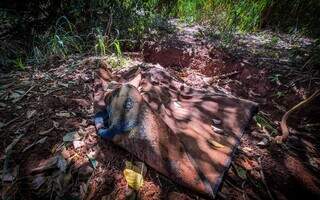 Perícia conclui que servidora foi jogada ainda viva em valeta Perícia conclui que servidora foi jogada ainda viva em valeta