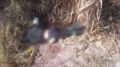 Mulher &eacute; achada morta em matagal com sinais de tortura