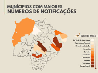 Crian&ccedil;as s&atilde;o 6 em cada 10 v&iacute;timas de casos graves de picada de escorpi&atilde;o em MS