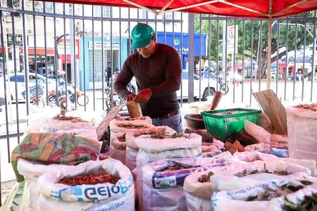 Cheio de boletos e sem salário fixo? Como sobrevive um informal em Campo Grande?