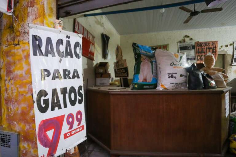 Campo Grande News