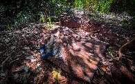 Perícia conclui que servidora foi jogada ainda viva em valeta
