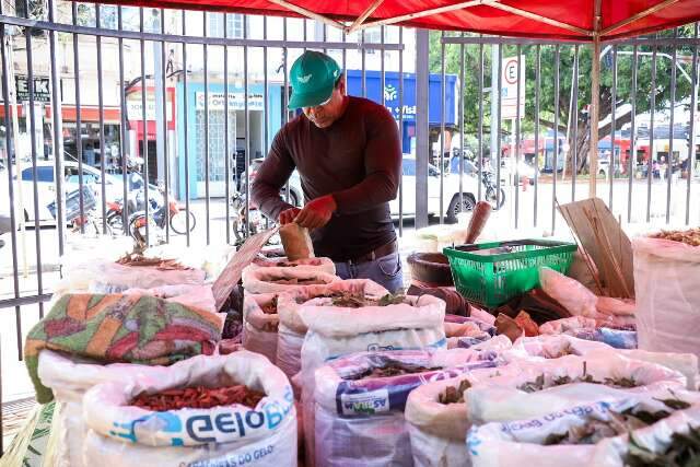 Cheio de boletos e sem sal&aacute;rio fixo? Como sobrevive um informal em Campo Grande?