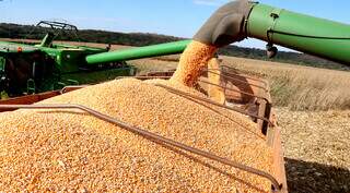 Depois da carne, Trump mira soja; setor em MS quer garantir competitividade