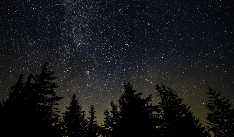 Espet&aacute;culo celeste: chuva de meteoros tem ponto m&aacute;ximo na pr&oacute;xima madrugada