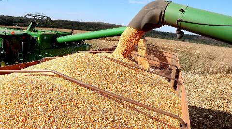 Depois da carne, Trump mira soja, mas setor em MS quer garantir competitividade