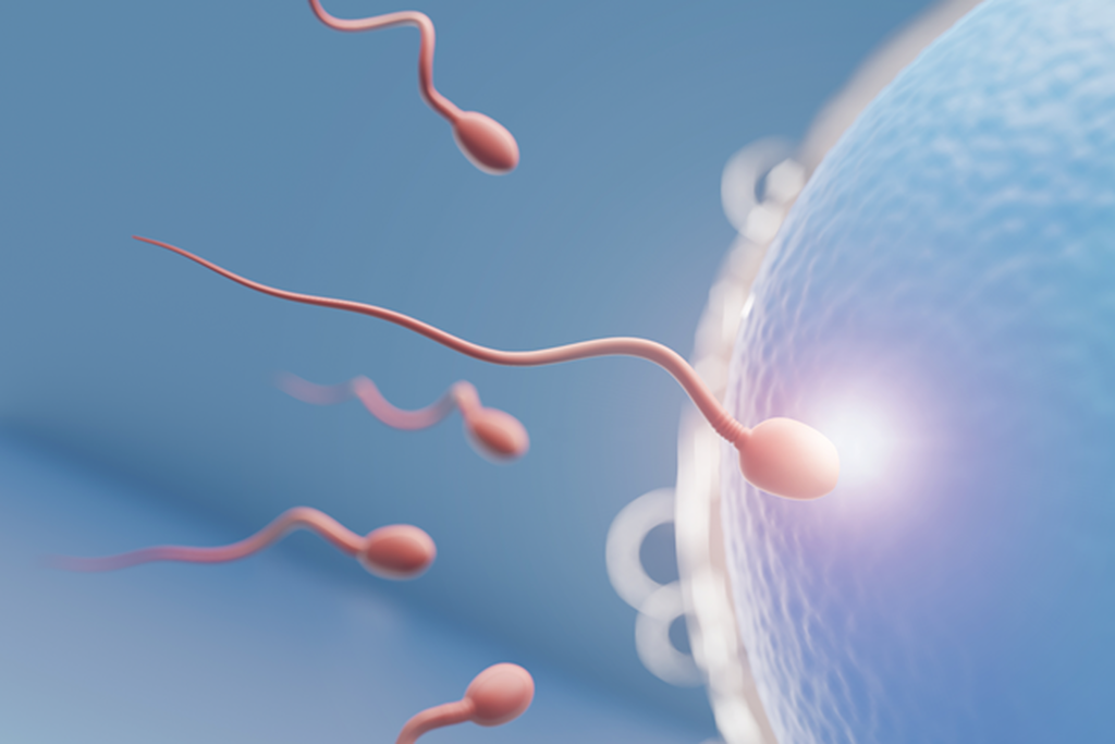 Como calcular o dia em que engravidei: guia completo para gestantes