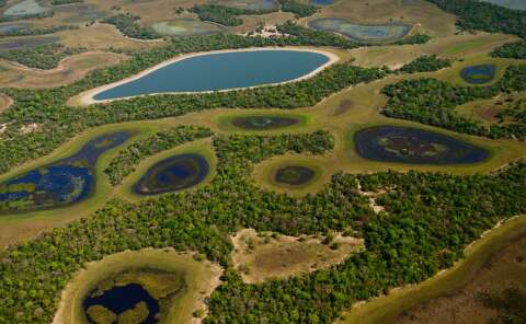 Produtores t&ecirc;m at&eacute; dia 20 para aderir e receber por &aacute;rea preservada no Pantanal