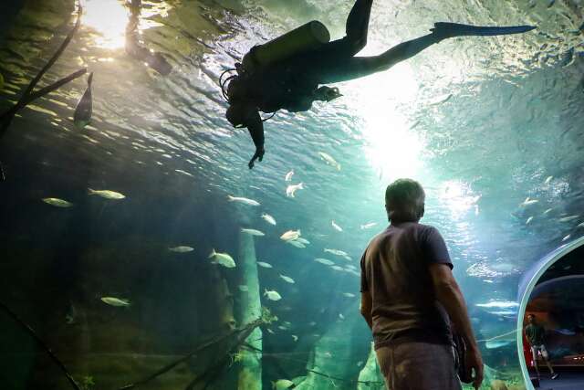 Bioparque j&aacute; conseguiu reproduzir 2 esp&eacute;cies criticamente amea&ccedil;adas de extin&ccedil;&atilde;o