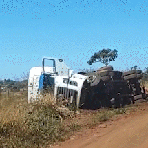 Agitado ap&oacute;s acidente, boi corre atr&aacute;s das pessoas em rodovia