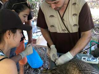 Expedi&ccedil;&otilde;es em fazendas unem lazer, aprendizado e conserva&ccedil;&atilde;o ambiental