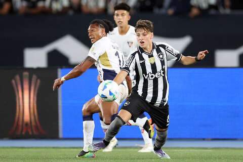 Botafogo bate LDU com gol rel&acirc;mpago e abre vantagem na Libertadores