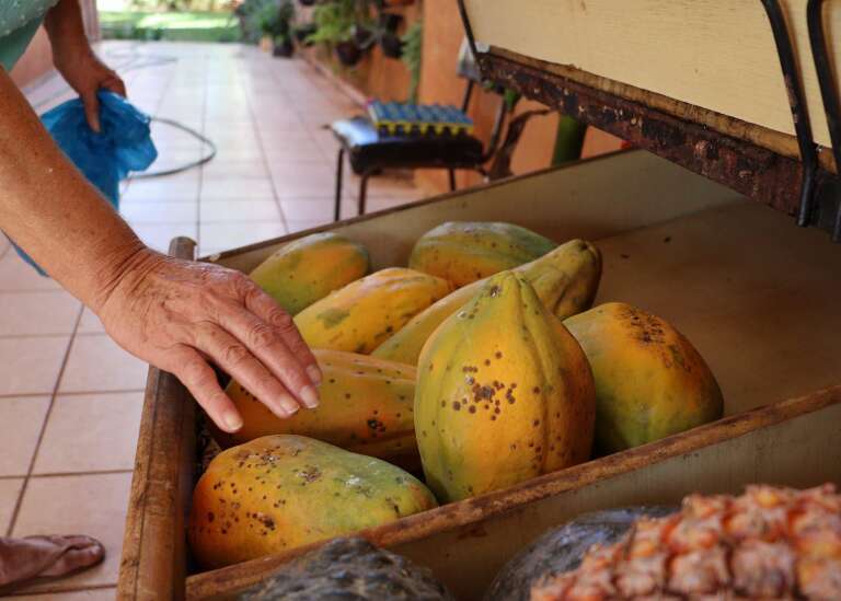 Campo Grande News