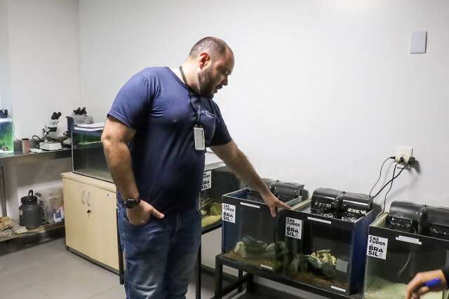 Bioparque descobre 13 esp&eacute;cies de peixes e faz a reprodu&ccedil;&atilde;o de forma in&eacute;dita
