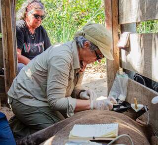 Expedi&ccedil;&otilde;es em fazendas unem lazer, aprendizado e conserva&ccedil;&atilde;o ambiental