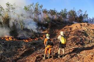Inc&ecirc;ndio volta a atingir &aacute;rea atr&aacute;s da Comunidade Esperan&ccedil;a