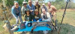 Expedi&ccedil;&otilde;es em fazendas unem lazer, aprendizado e conserva&ccedil;&atilde;o ambiental