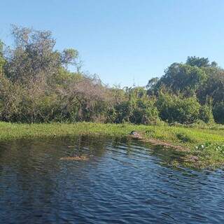 Corpo em decomposi&ccedil;&atilde;o &eacute; encontrado boiando em rio de &aacute;rea isolada no Pantanal 