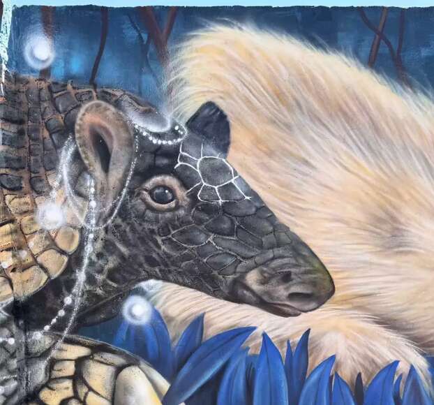 Mural em homenagem ao tatu-canastra é inaugurado em Três Lagoas