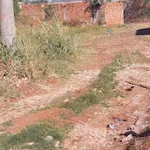 Moradores reclamam de ruas sujas, mato alto e presen&ccedil;a de escorpi&otilde;es