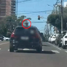 Crian&ccedil;a &eacute; flagrada com cabe&ccedil;a para fora do teto solar de ve&iacute;culo em movimento
