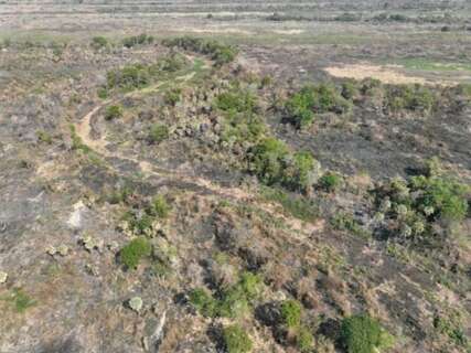 Fazendeiro &eacute; investigado por queima irregular de 1,4 mil hectares