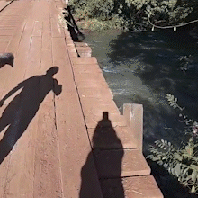 Ponte do assentamento &eacute; interditada ap&oacute;s danos causados por caminh&atilde;o