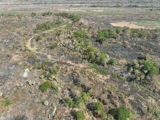 Fazendeiro &eacute; investigado por queima irregular de 1,4 mil hectares