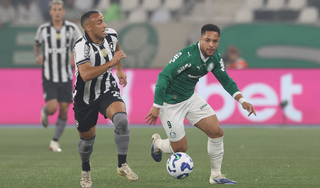 Palmeiras vence o Botafogo e assume vice-lideran&ccedil;a do Brasileiro 