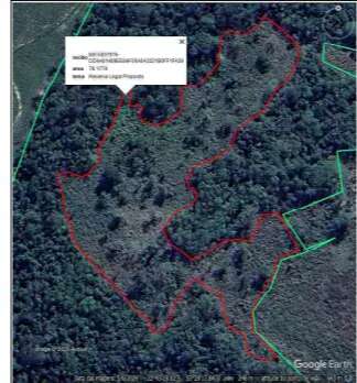 Fazendeiro &eacute; investigado por desmatar &aacute;rea de Mata Atl&acirc;ntica em MS