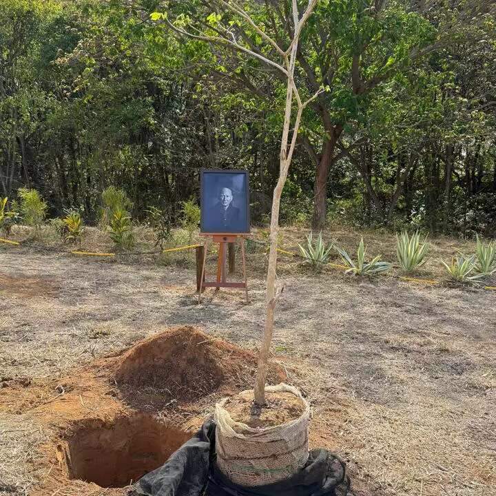Ambientalista vai à homenagem que plantou cinzas de Sebastião Salgado