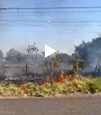 &Aacute;rea pega fogo na Mata do Jacinto; umidade baixa deve agravar inc&ecirc;ndios