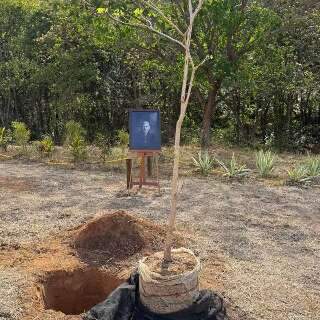 Ambientalista vai &agrave; homenagem que plantou cinzas de Sebasti&atilde;o Salgado