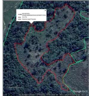 Fazendeiro &eacute; investigado por desmatar &aacute;rea de Mata Atl&acirc;ntica em MS