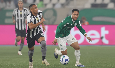 Palmeiras vence o Botafogo e assume vice-lideran&ccedil;a do Brasileiro 