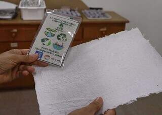 Estudantes do Aero Rancho fazem papel usado virar sementes de &aacute;rvores