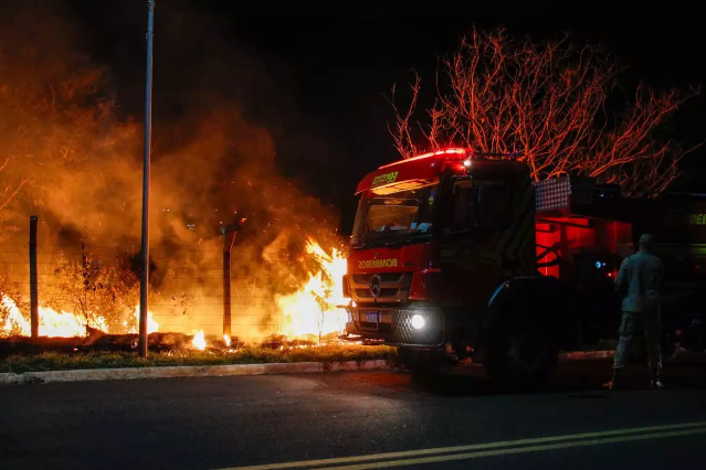 Inc&ecirc;ndio em &aacute;rvore amea&ccedil;a cabos e mobiliza bombeiros no Vilas Boas