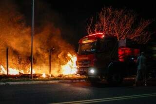 Inc&ecirc;ndio em &aacute;rvore amea&ccedil;a cabos e mobiliza bombeiros no Vilas Boas