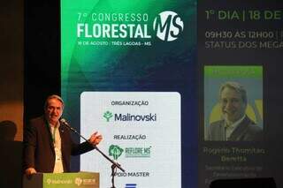 MS multiplica por cinco a &aacute;rea de florestas plantadas em 10 anos
