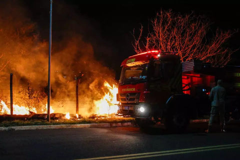 Inc&ecirc;ndio em &aacute;rvore amea&ccedil;a cabos e mobiliza bombeiros no Vilas Boas