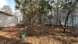 Fogo cerca &aacute;rea verde da Nipo-Brasileira, mas n&atilde;o atinge a estrutura