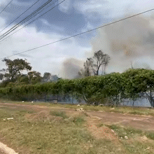 Fogo toma terreno ao lado da Nipo Brasileira e assusta motoristas na Jo&atilde;o Arinos